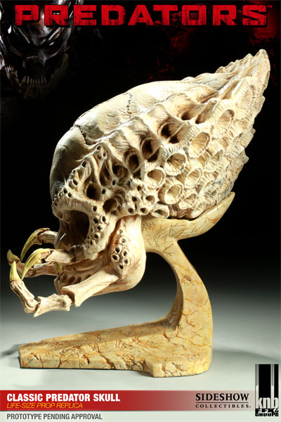 9358-classic-predator-skull-1.jpg