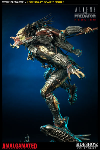 Wolf Predator