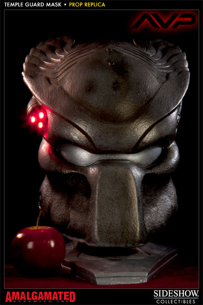 9587-temple-guard-mask-1.jpg