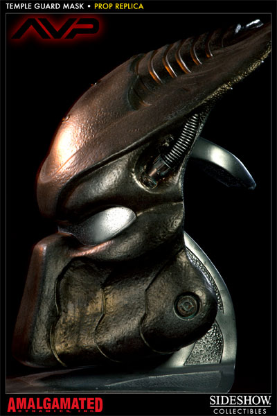 9587-temple-guard-mask-1.jpg