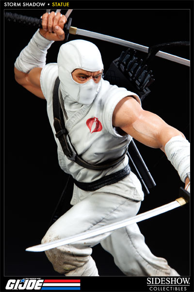 9636-storm-shadow-1.jpg