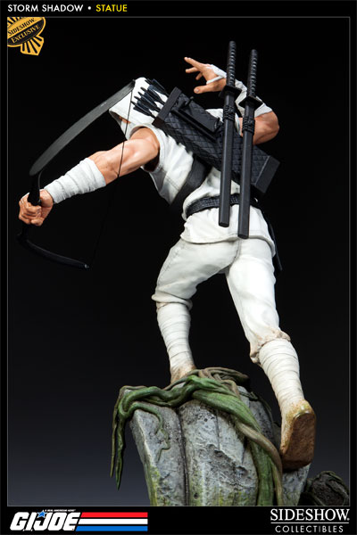 9636-storm-shadow-1.jpg