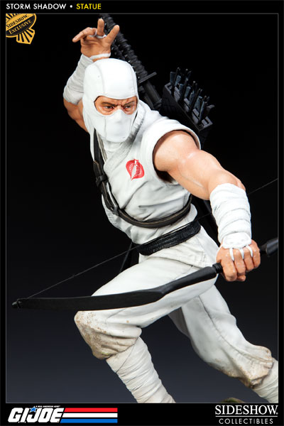9636-storm-shadow-1.jpg