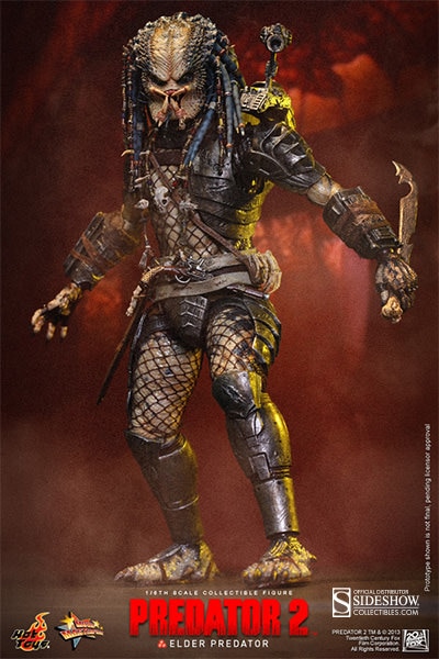 Elder Predator